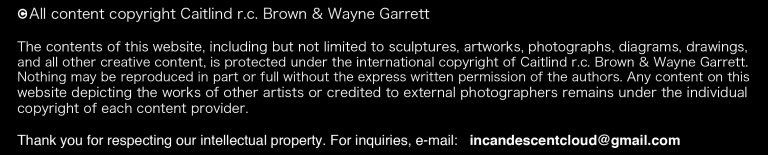 Copyright Statement - CARBON COPY