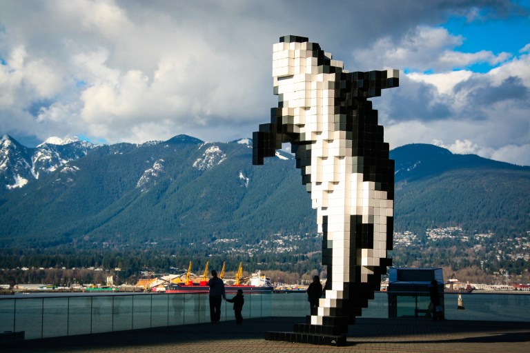 Digital_Orca_Vancouver